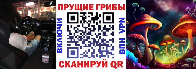 Галлюциногенные грибы Cubensis  мориарти Telegram  Белорецк  где найти наркотики 